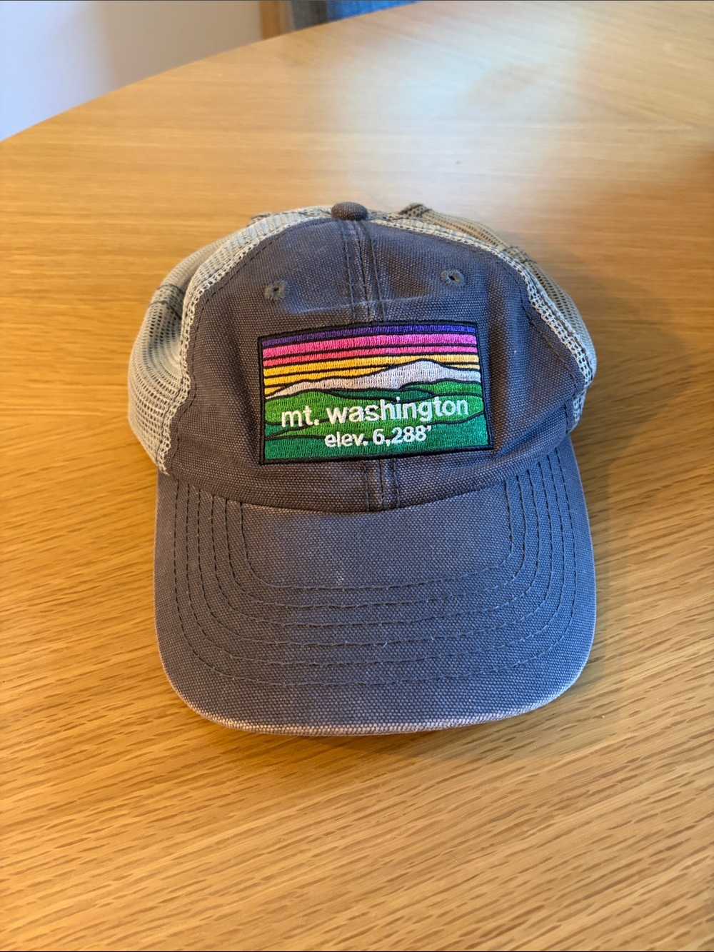 Mt. Washington Embroidered Kids Trucker Hat - Gray with Multicolor Patch